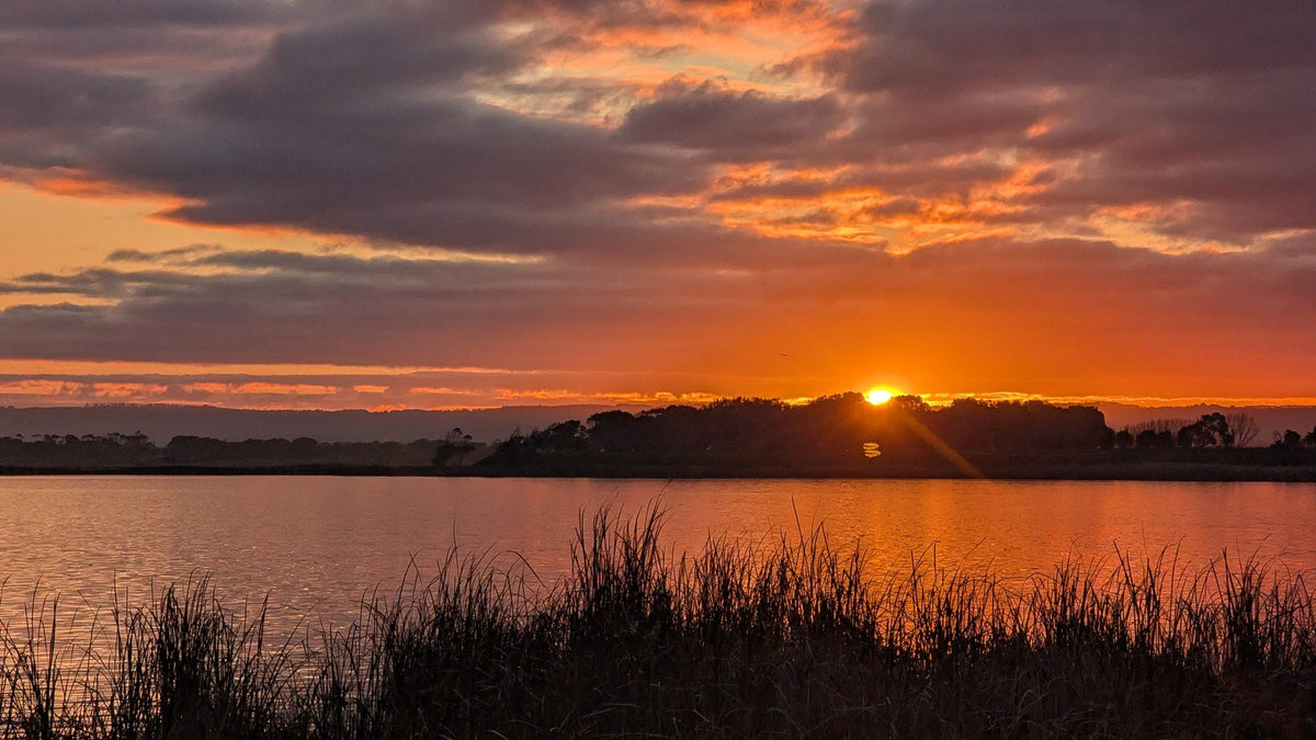 Sunset over the wetlands near Clayton Bay
